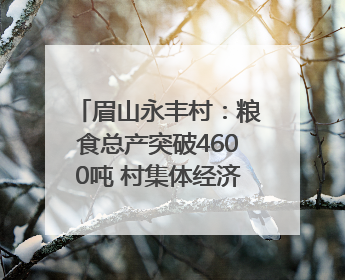 眉山永丰村：粮食总产突破4600吨 村集体经济收入三年倍增｜牵挂的村